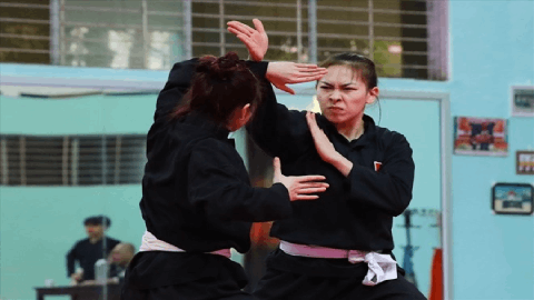 Giới thiệu môn Pencak Silat SEA Games 33